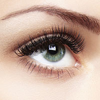 Wimpernlifting Wimpernlifting